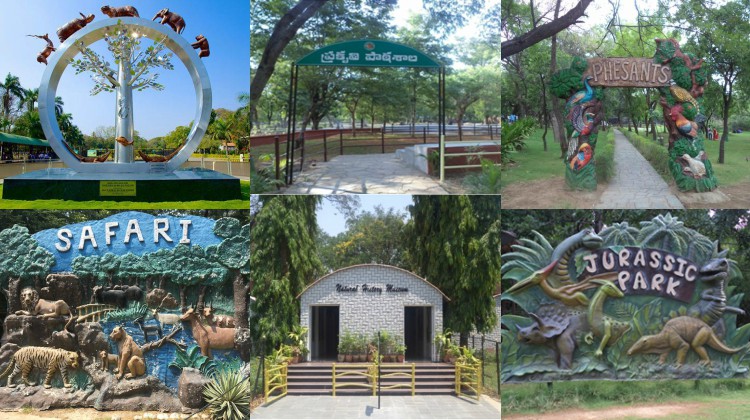 Nehru Zoo Park Hyderabad