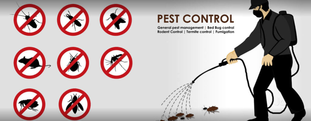 Top 15 Pest Control Services In Hyderabad Top 15 Pest Control Services In Hyderabad