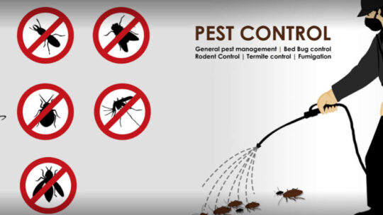 Top 15 Pest Control Services In Hyderabad