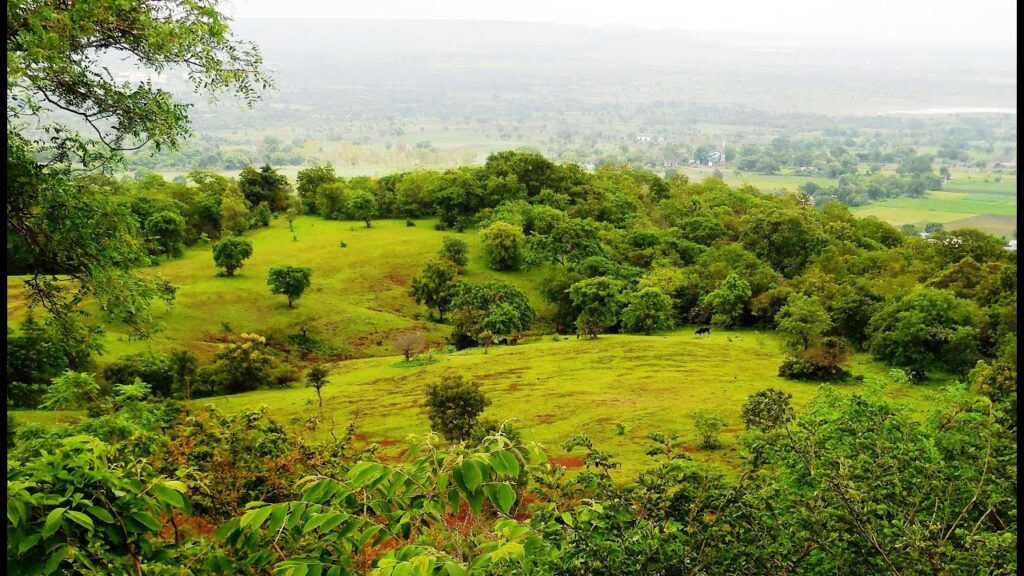 Ananthagiri Hills: A Visitor’s Paradise In The Beautiful State Of Telangana Ananthagiri Hills