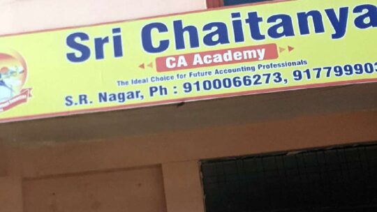 Intermediate Colleges in SR Nagar