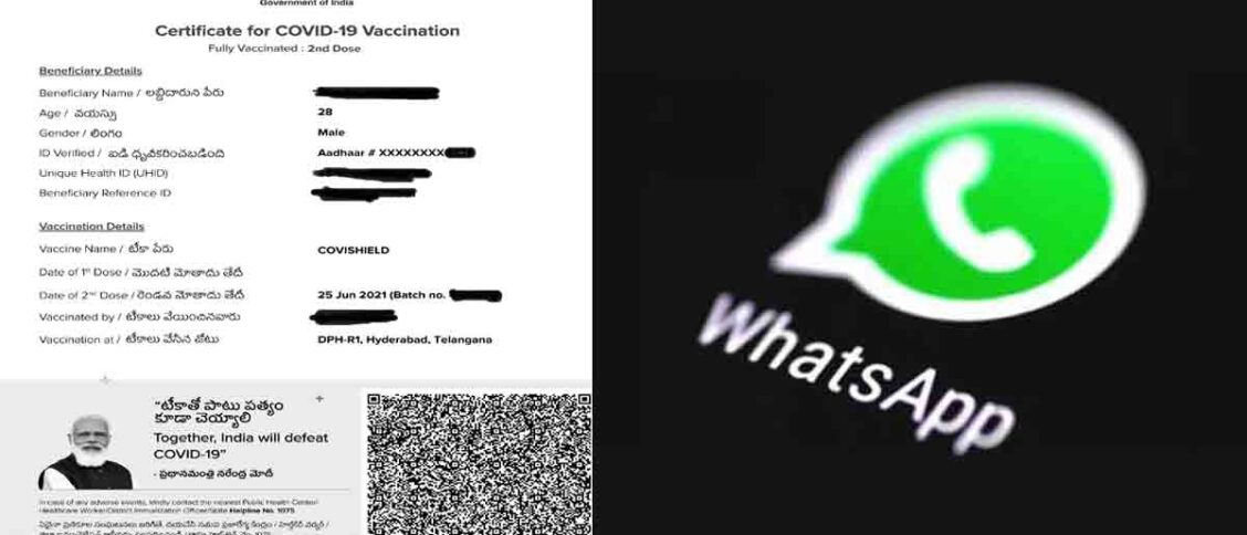 How to Download Vaccine Certificate on WhatsApp in Less than A Minute